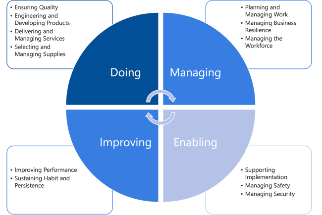 CMMI Categories